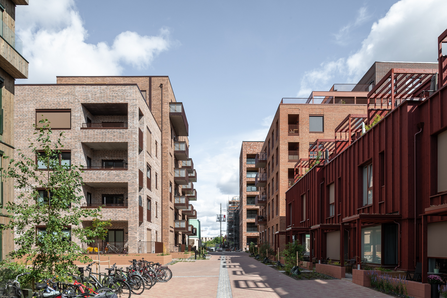 Nansenløkka Transborder photo Niklas Hart lowr 17