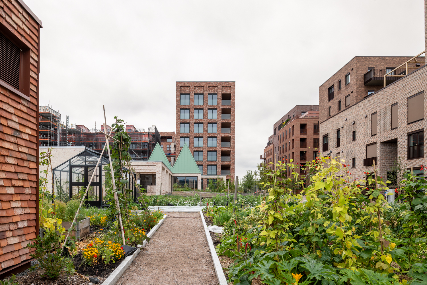 Nansenløkka Transborder photo Niklas Hart lowr 19