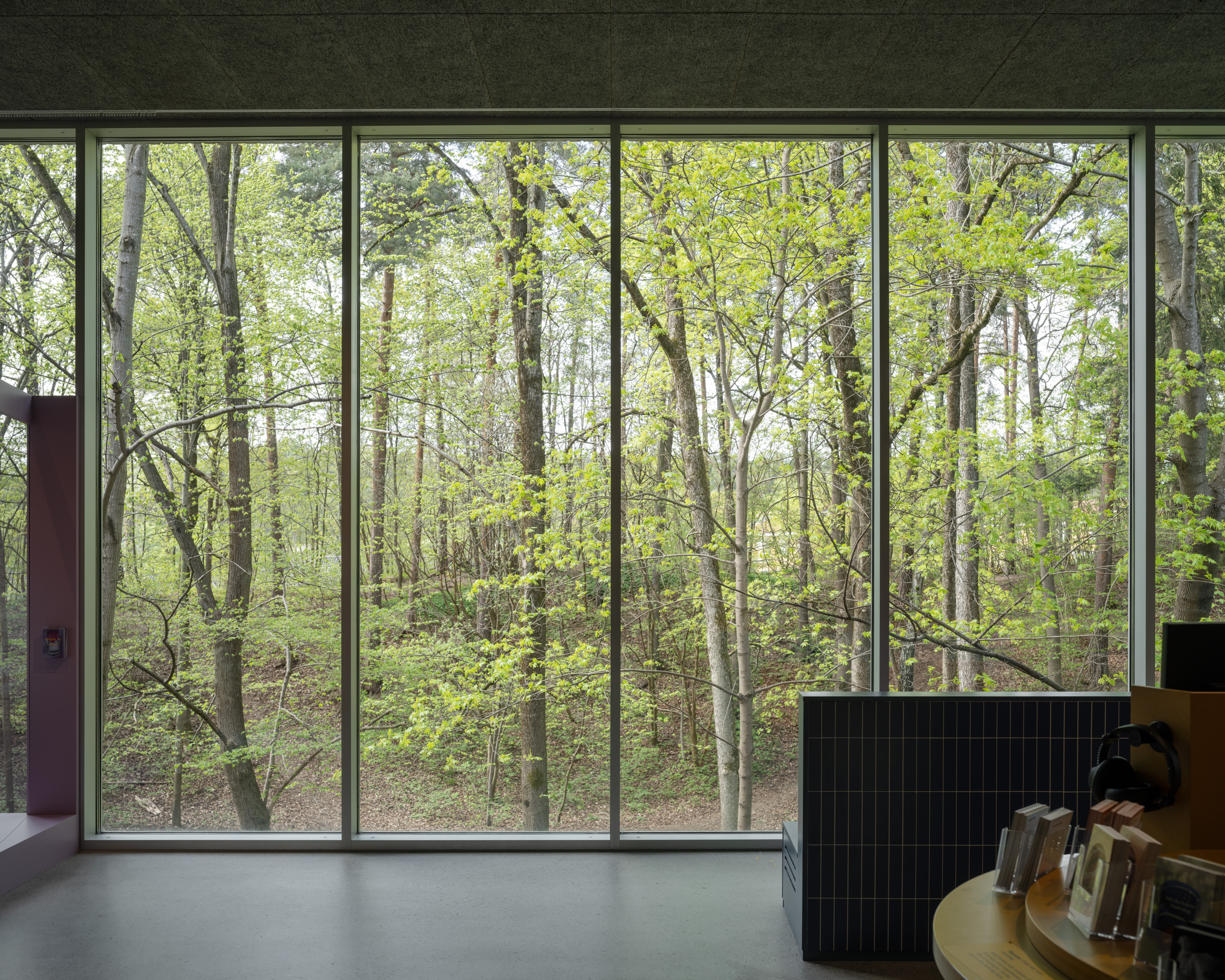 15 transborder holocaustcenter johandehlin 240507