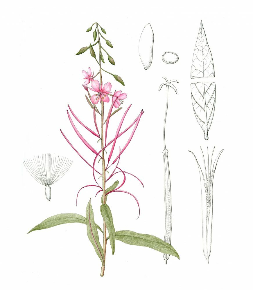 Seoul Biennale of Architecture and Urbanism 2017 1