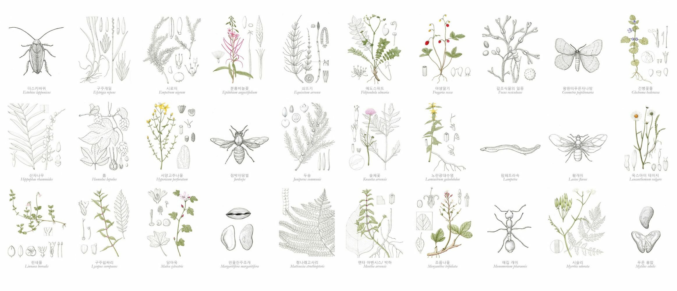 Seoul Biennale Collection